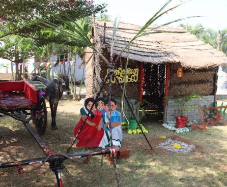 Pongal Celebration